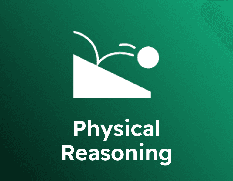 Physical Reasoning