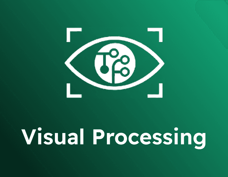 Visual Processing